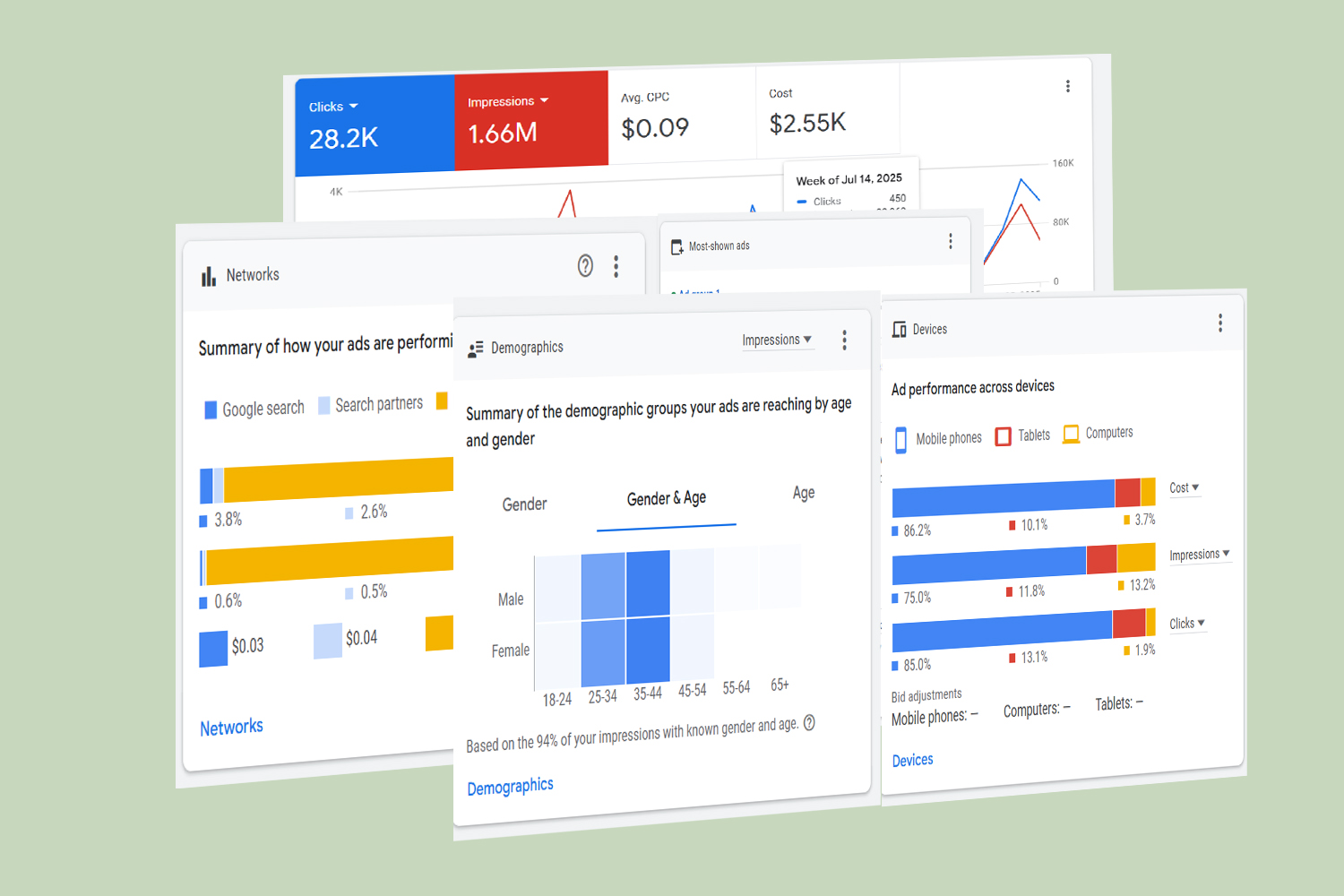 Digital Marketing & SEO 